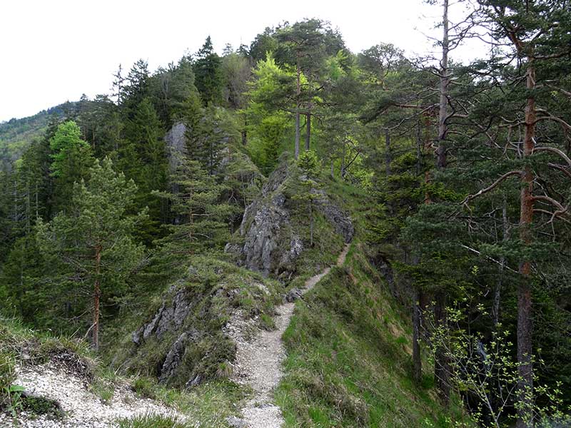 Hochkogel